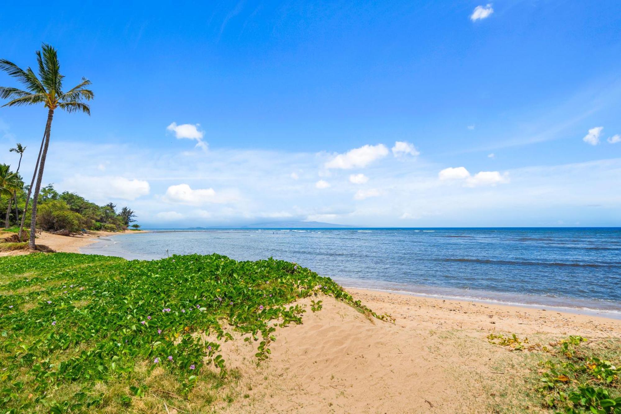 Maui Schooner Resort Kihei Exteriér fotografie