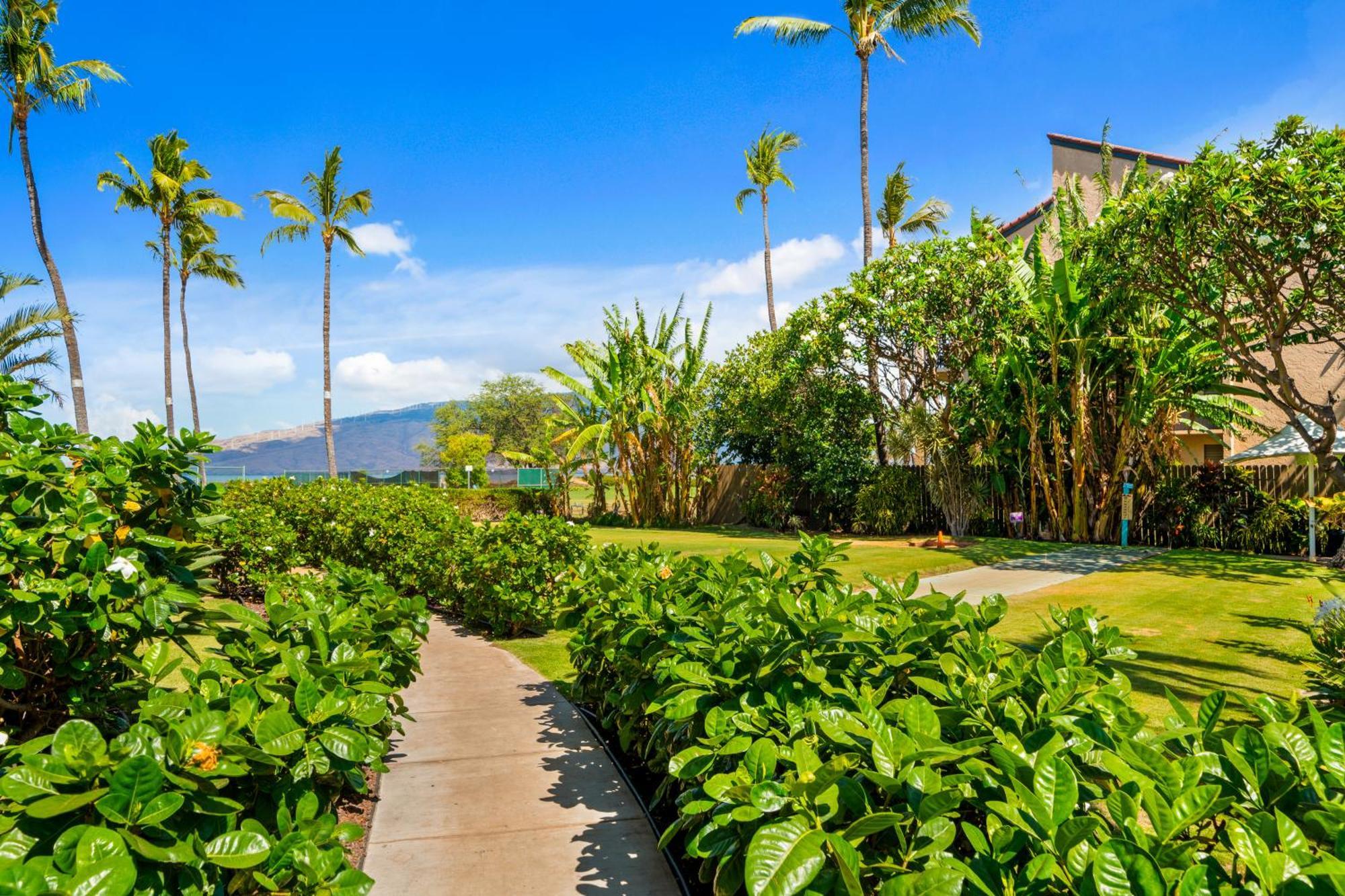 Maui Schooner Resort Kihei Exteriér fotografie
